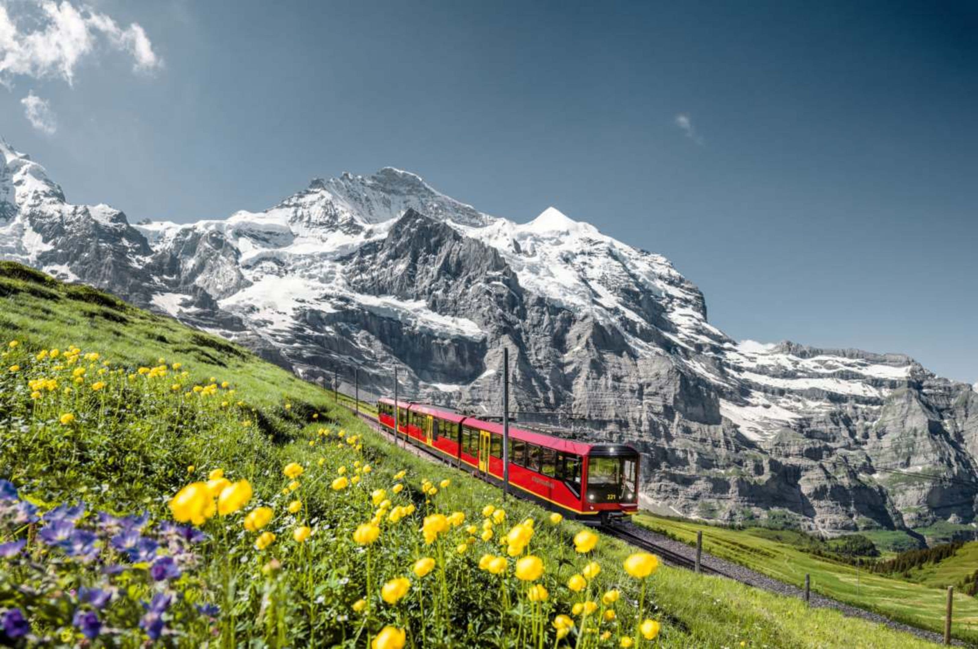 Jungfrau Bergpanorama
